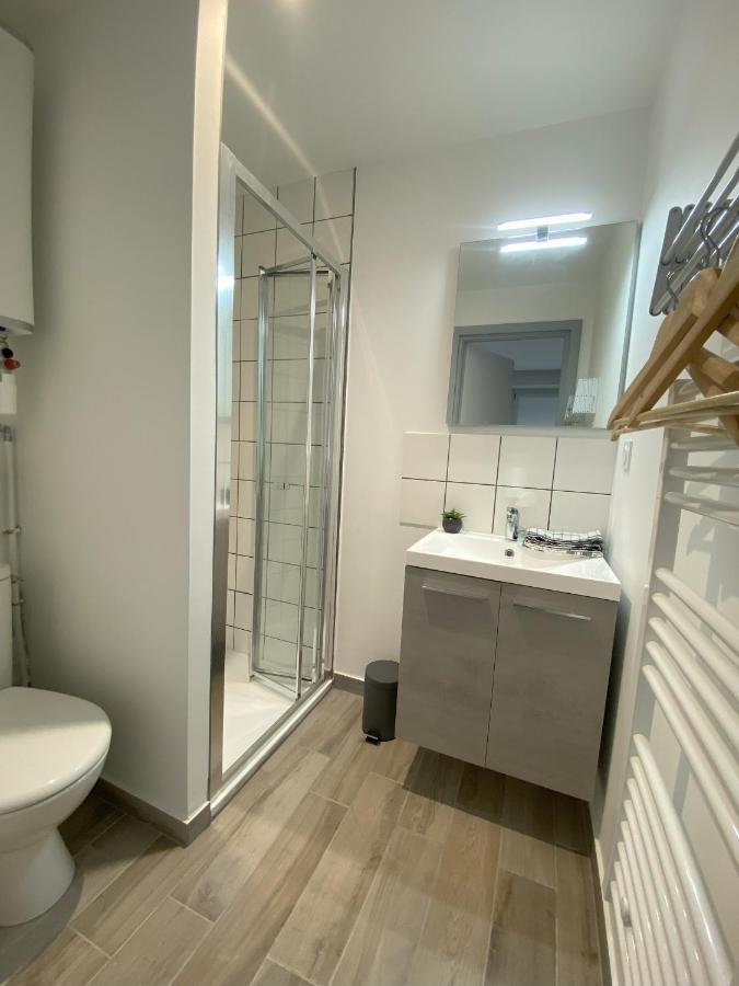 Le Viotte - Unique ! 3 Logements Disponibles Безансон Екстер'єр фото
